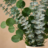 Natural Green Eucalyptus Preserved Foliage Bouquet