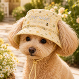 Personalized Bee Sweet Quilted Dog Hat – Custom Pet Name With Ear Holes