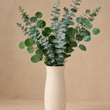 Natural Green Eucalyptus Preserved Foliage Bouquet