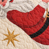 Jolly Santa Martini Christmas Quilted 3-Piece Bedding Set