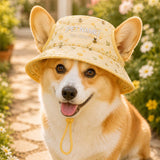 Personalized Bee Sweet Quilted Dog Hat – Custom Pet Name With Ear Holes